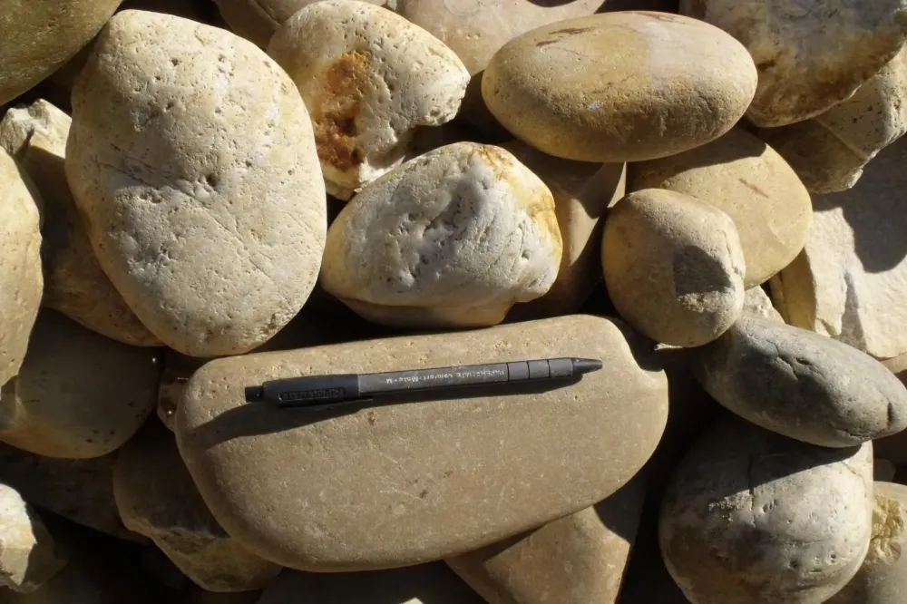 roule naturel jaune (2)