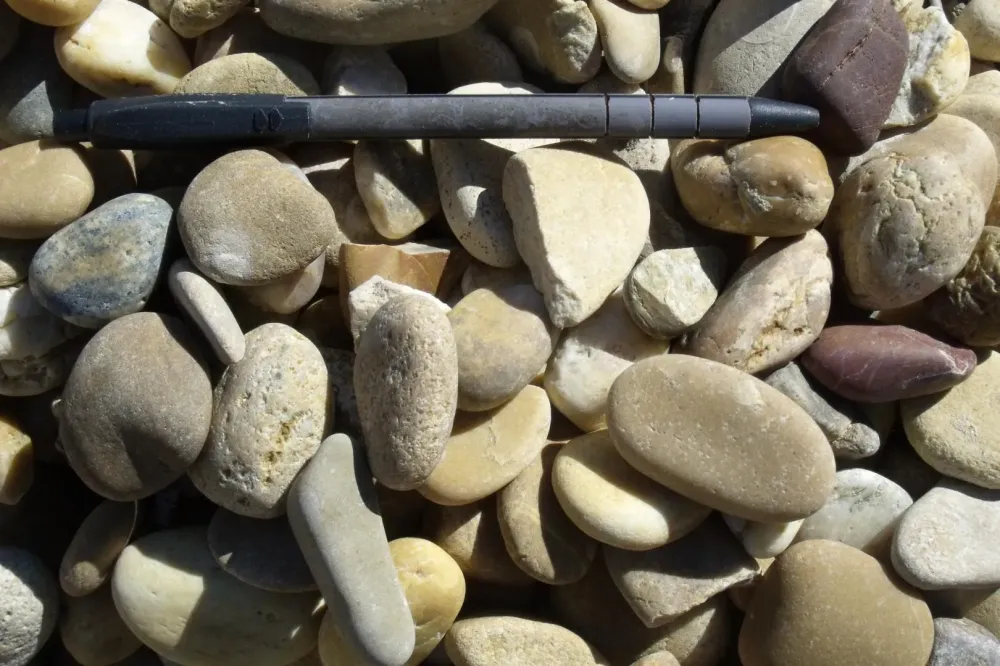 roule naturel jaune (3)