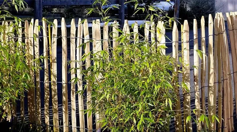 amenagement bois (1)