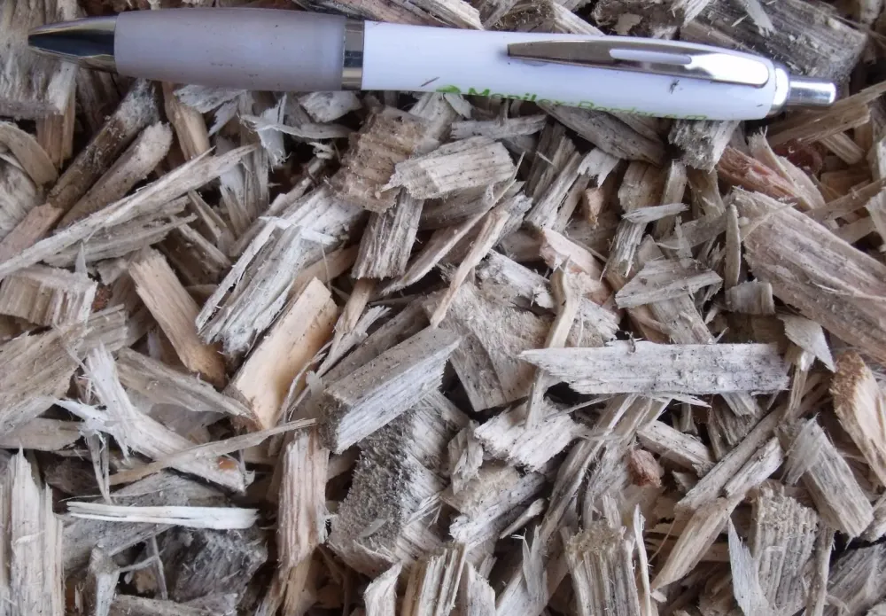 plaquette bois naturel